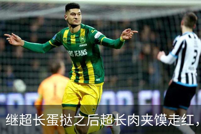 继超长蛋挞之后超长肉夹馍走红，长度四五十厘米，售价20元，商家：现做热食